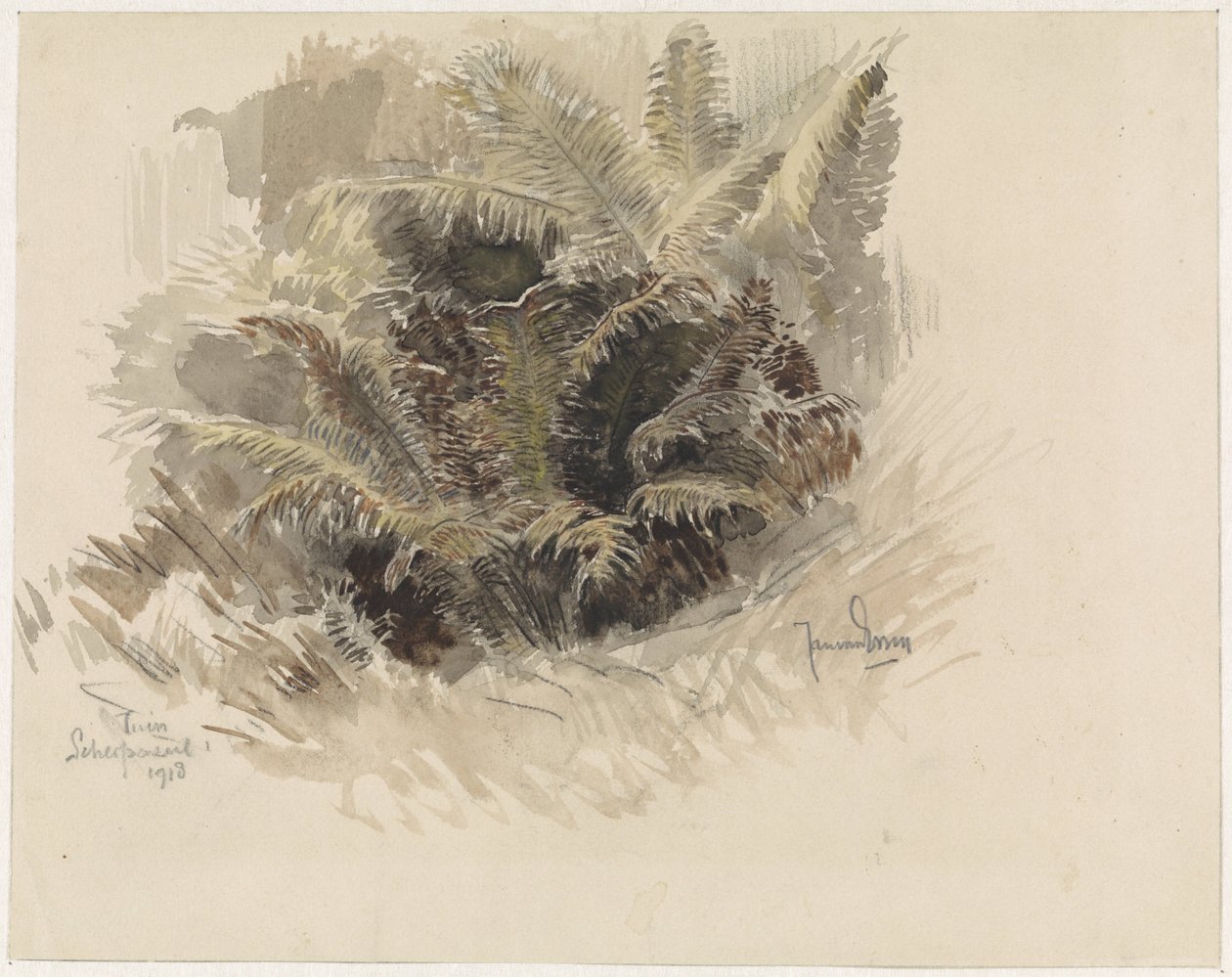 Königsfarn in einem Garten in Scherpenzeel von Jan van Essen