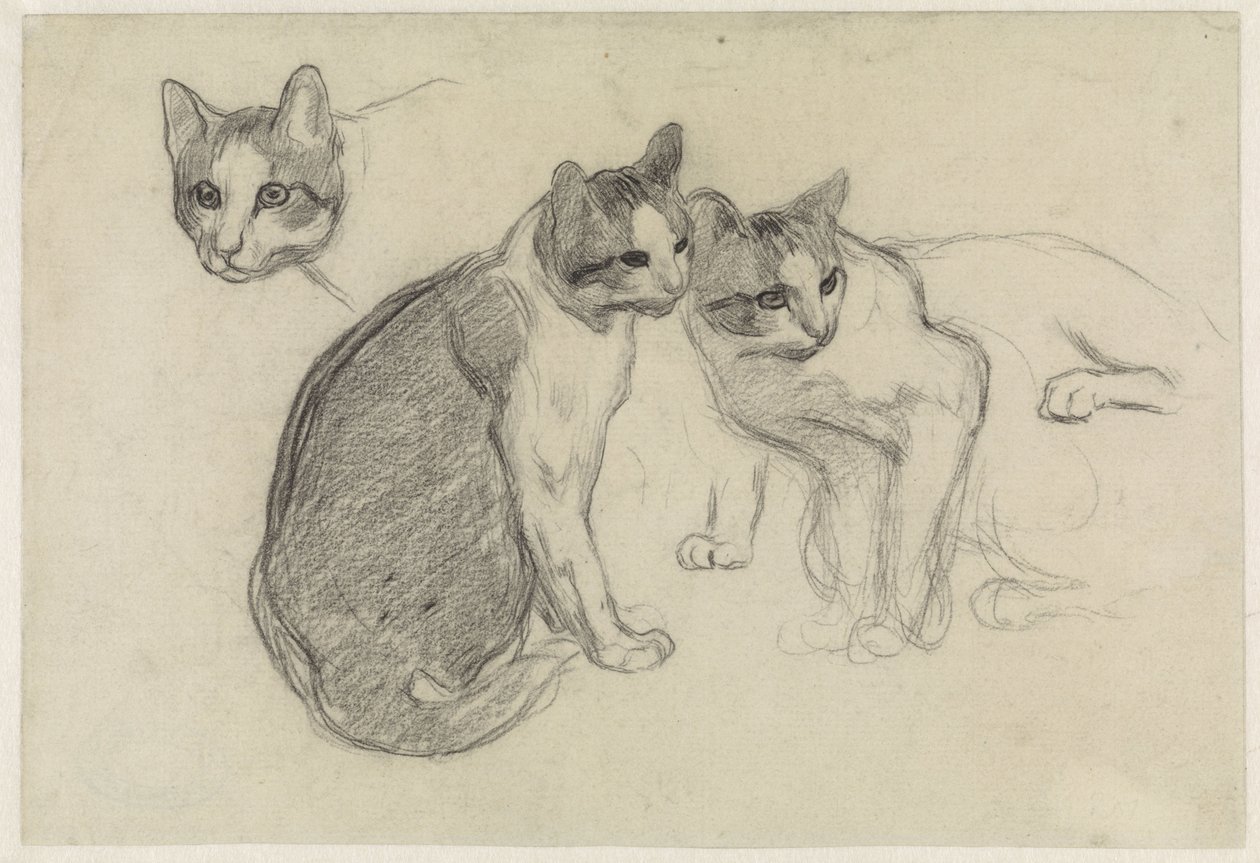 Studienblatt mit Katzen von Jan van Essen