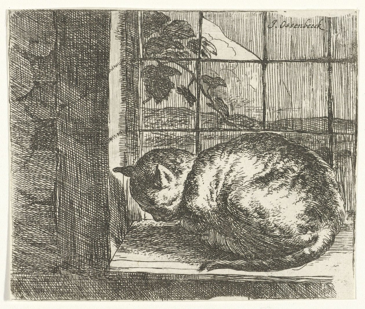 Katze im Fensterrahmen von Jan van Ossenbeeck
