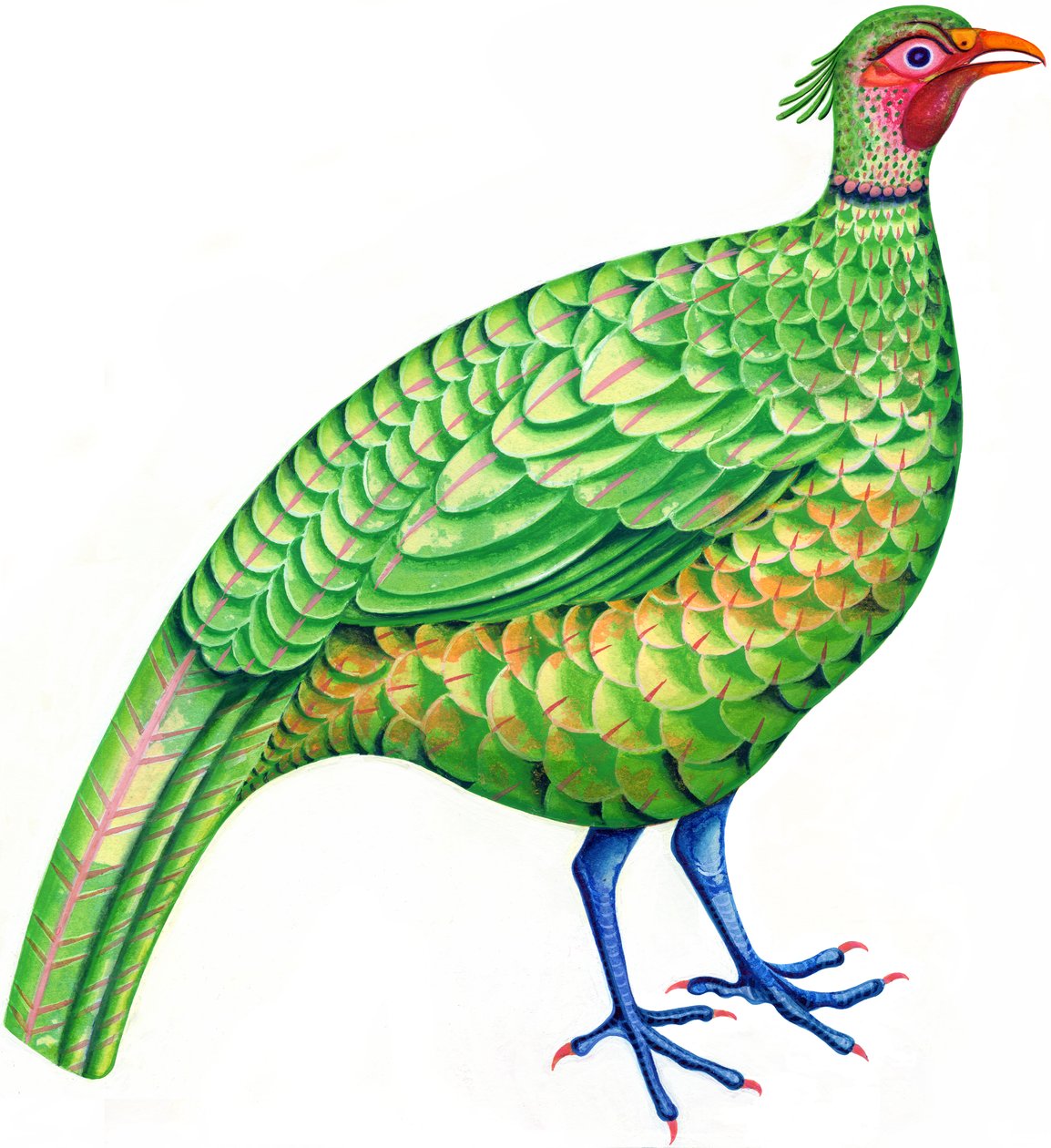 Fasan von Jane Tattersfield