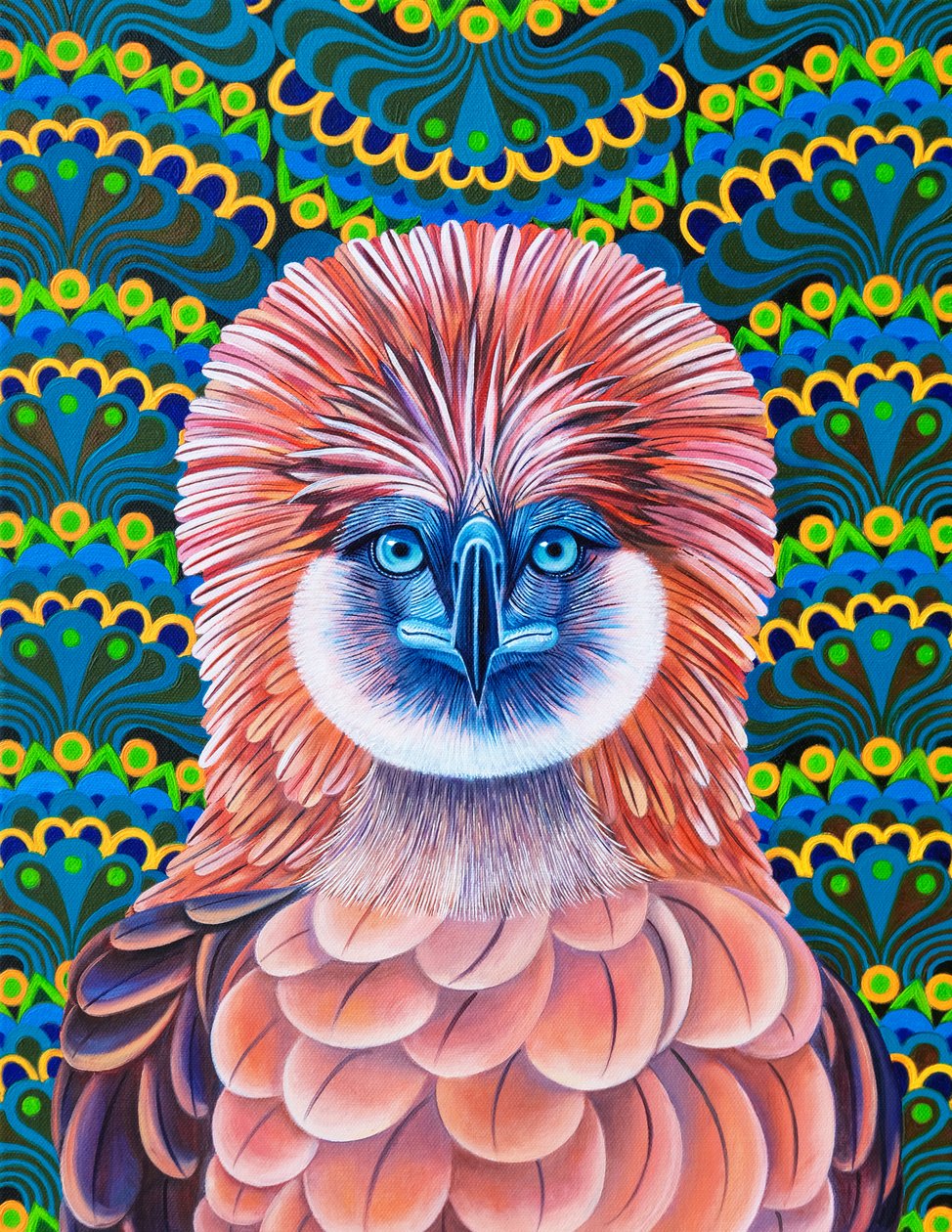 Philippinenadler von Jane Tattersfield