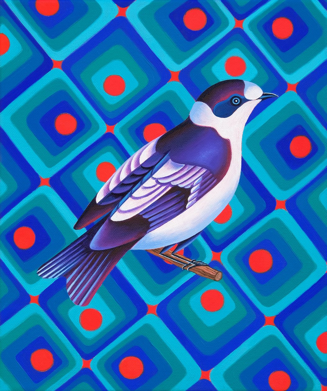 Halbkragenfliegenschnäpper, 2023 von Jane Tattersfield