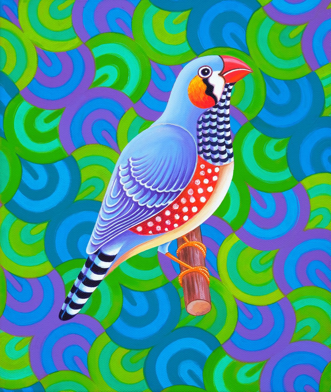 Zebrafink, 2023 von Jane Tattersfield