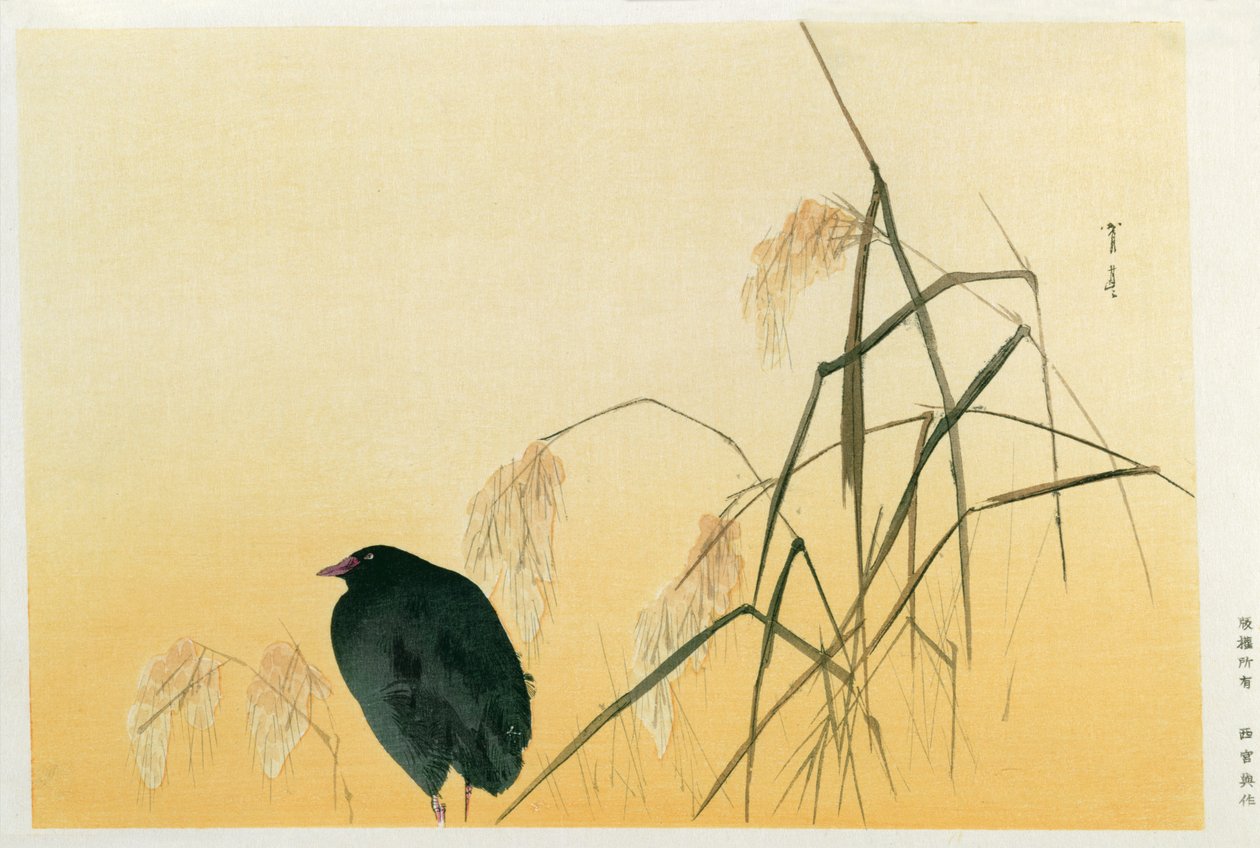 Amsel, Edo-Periode (Seidenrolle) von Japanese School