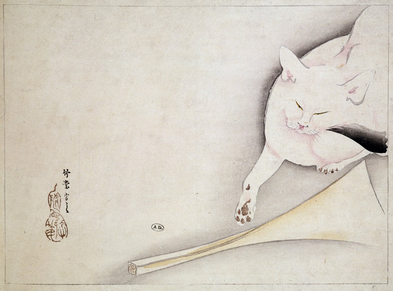 Katze, japanische Zeichnung, 19. Jahrhundert von Japanese School