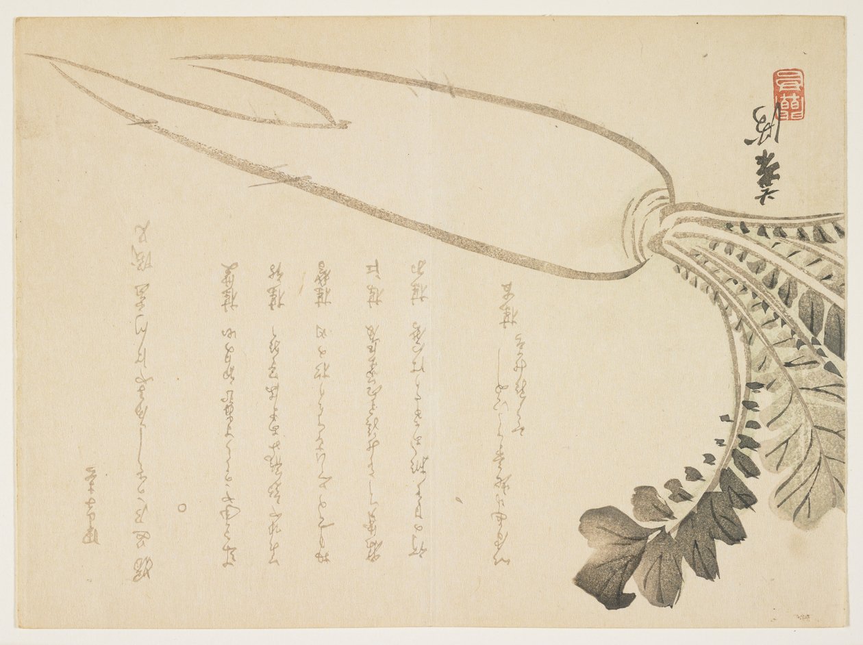 Daikon-Rettich, Januar 1864 von Japanese School