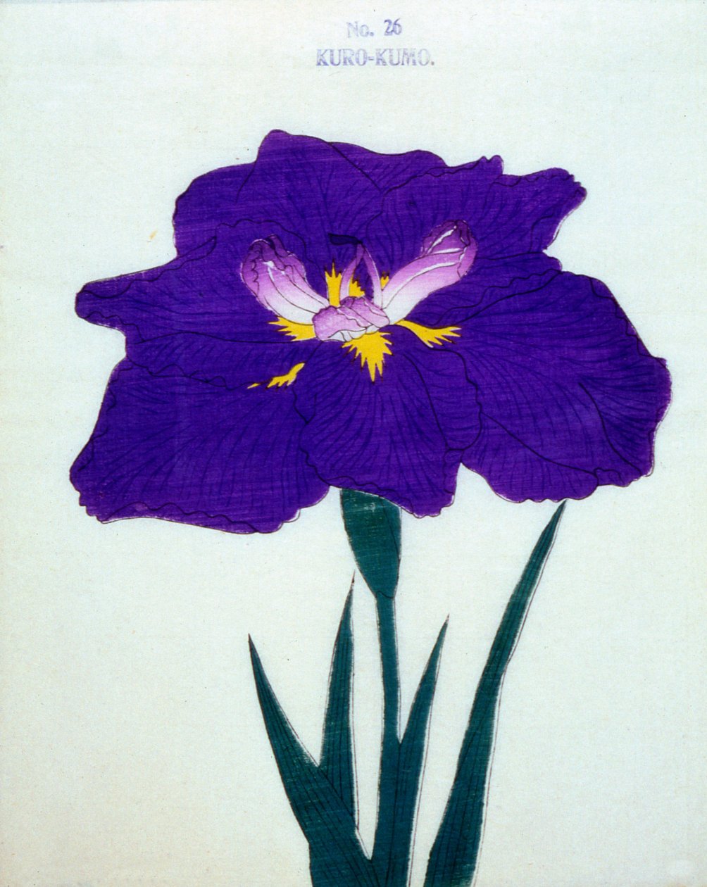 Kuro-Kumo, Nr. 26, 1898 von Japanese School