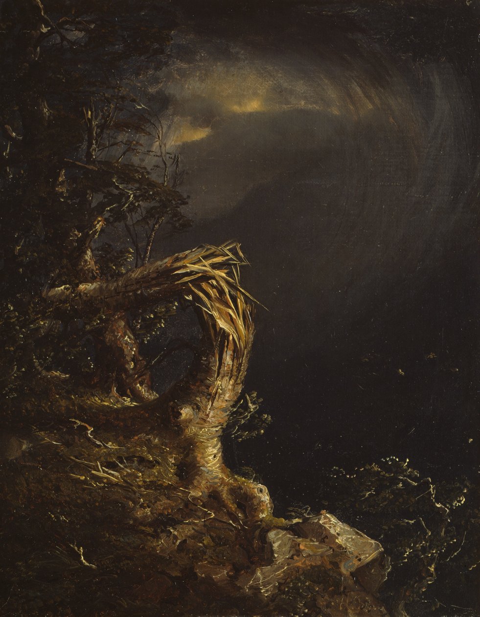 Zerbrochener Baum, 1850 von Jasper Francis Cropsey