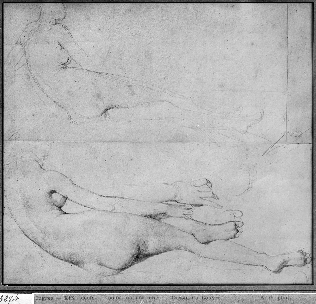 Studien für Die Große Odaliske (Graphit auf Papier) (Detail) von Jean Auguste Dominique Ingres