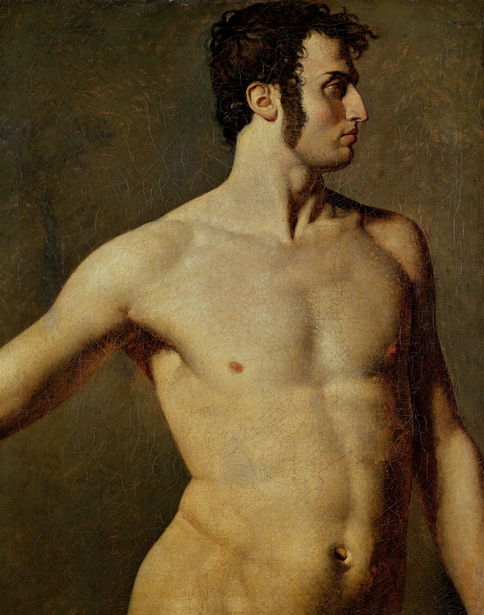 Männlicher Torso von Jean Auguste Dominique Ingres