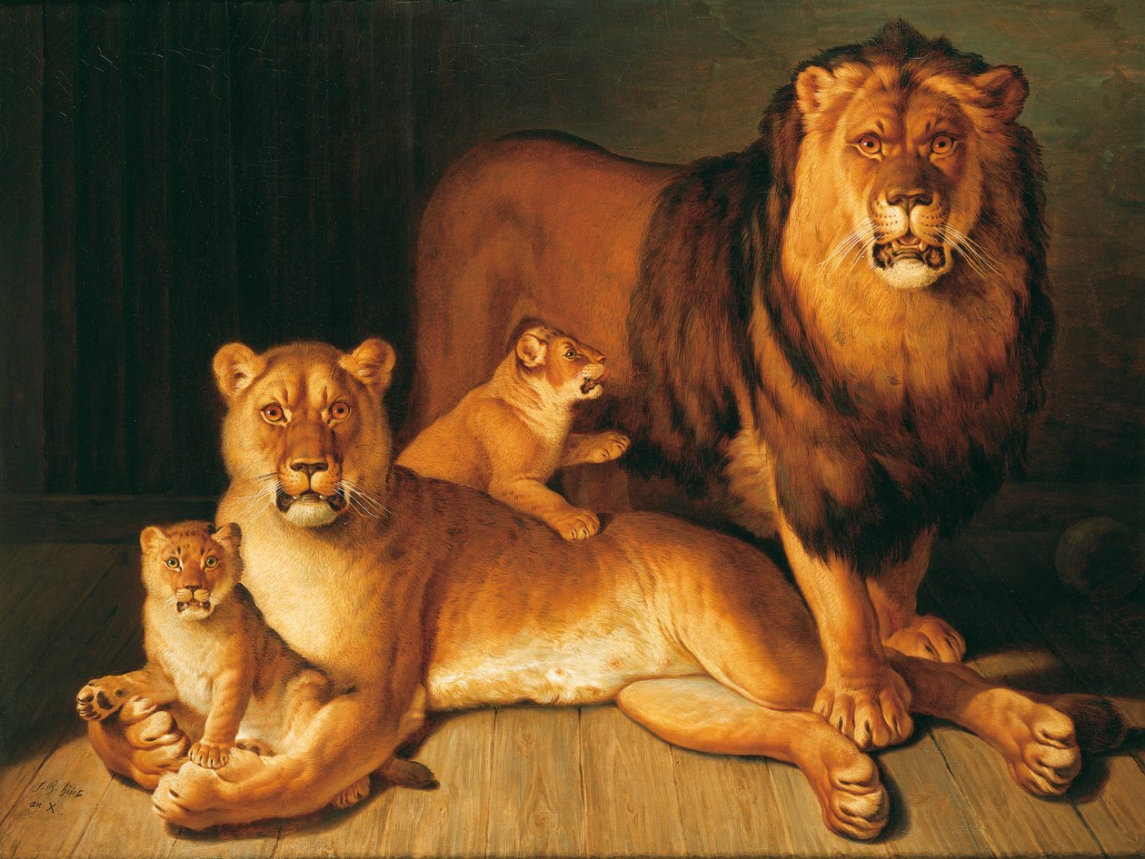 Ein Löwenrudel von Jean Baptiste Huet