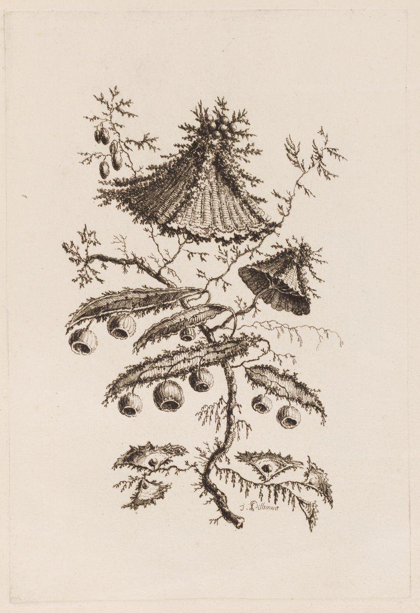 Blütenzweig, aus "Fleures Persannes" von Jean Baptiste Pillement