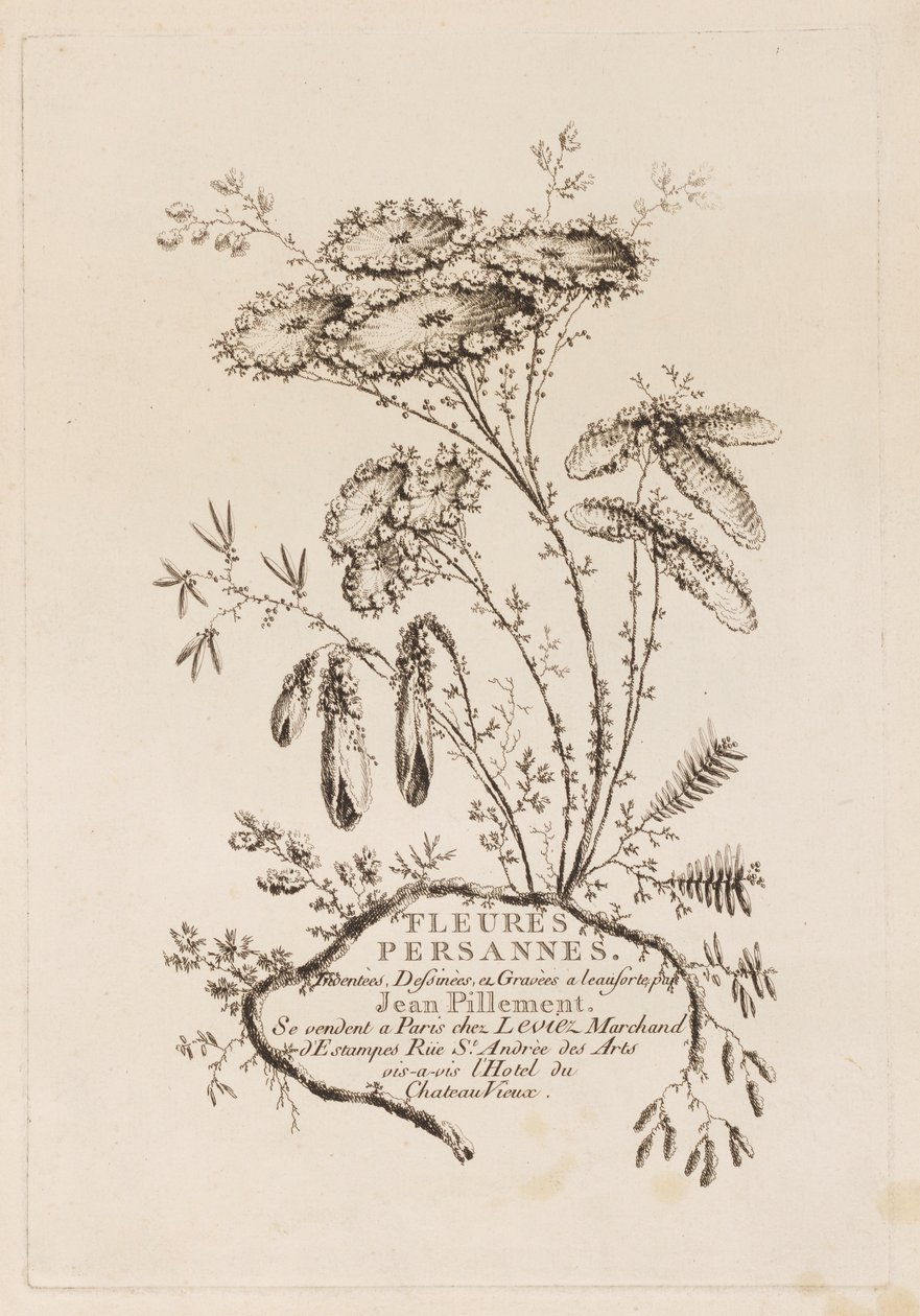 Titelseite, aus "Fleures Persannes" von Jean Baptiste Pillement