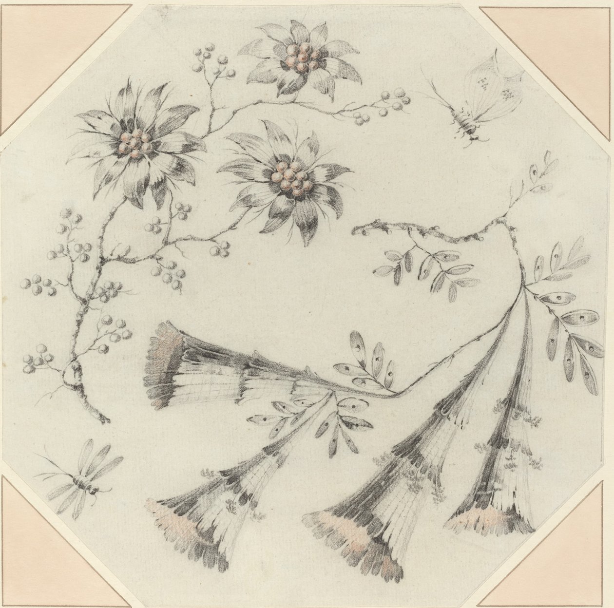 Trompetenblumen und Gänseblümchen von Jean Baptiste Pillement