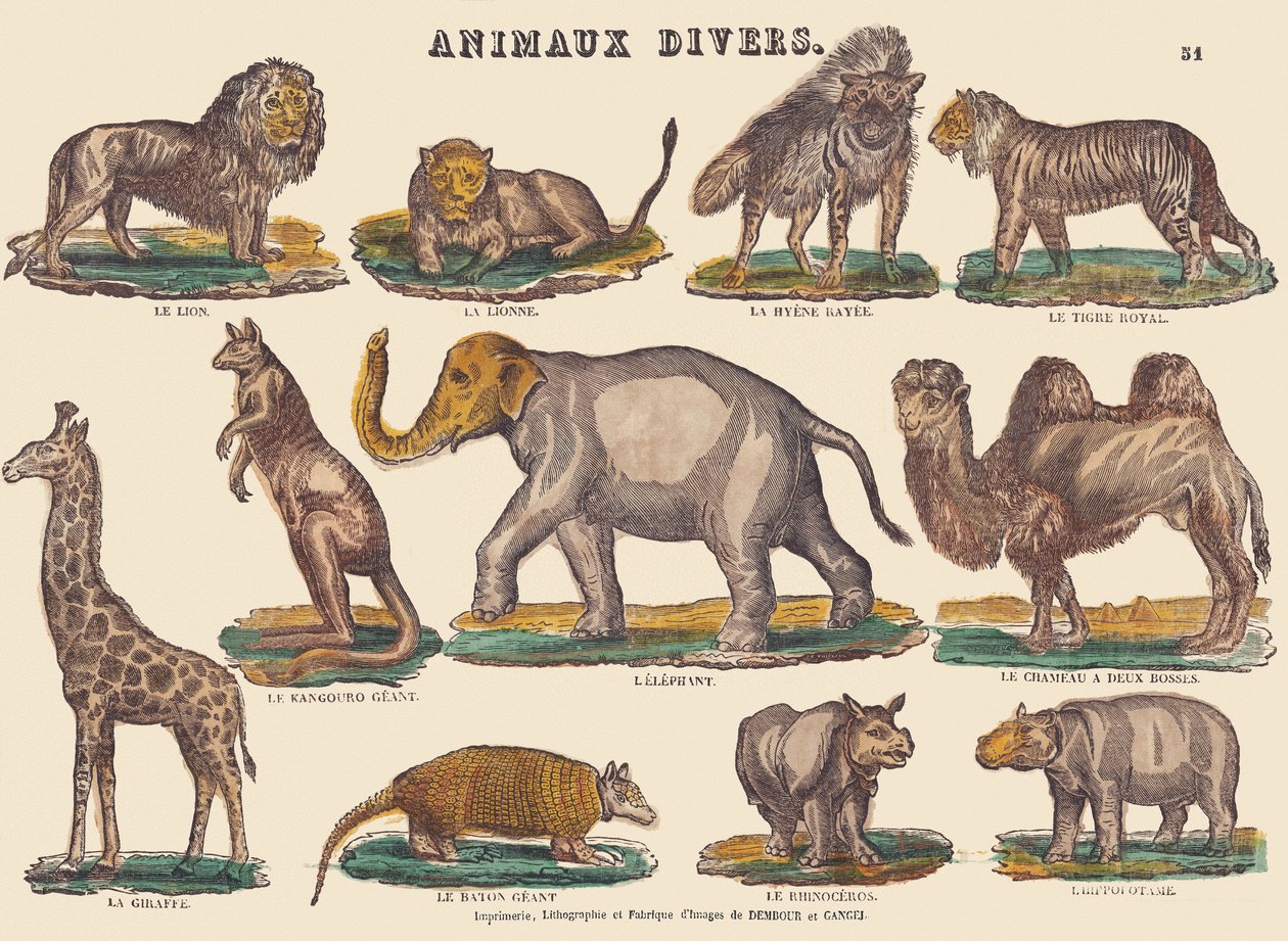 Verschiedene Tiere, ca. 1840-1852 von Jean Baptiste Thiebault
