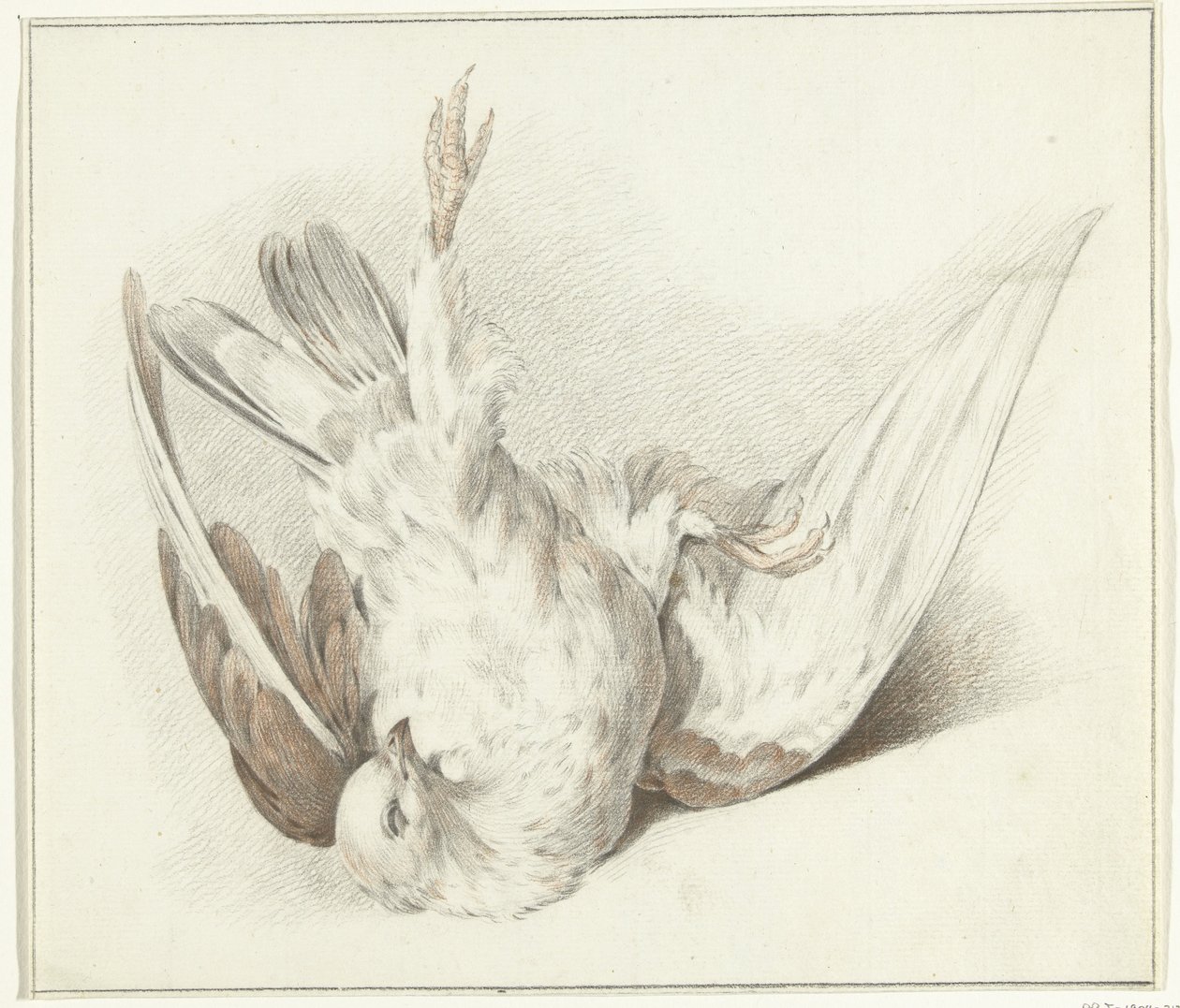 Tote Taube von Jean Bernard