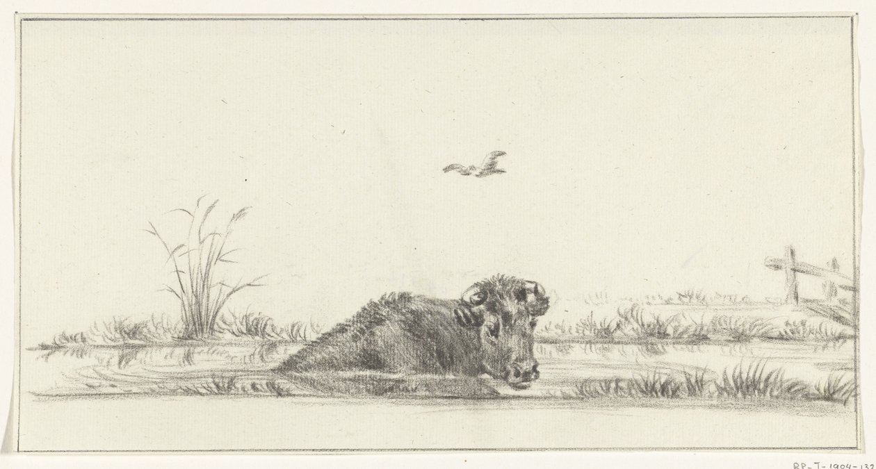 Kuh im Wasser von Jean Bernard