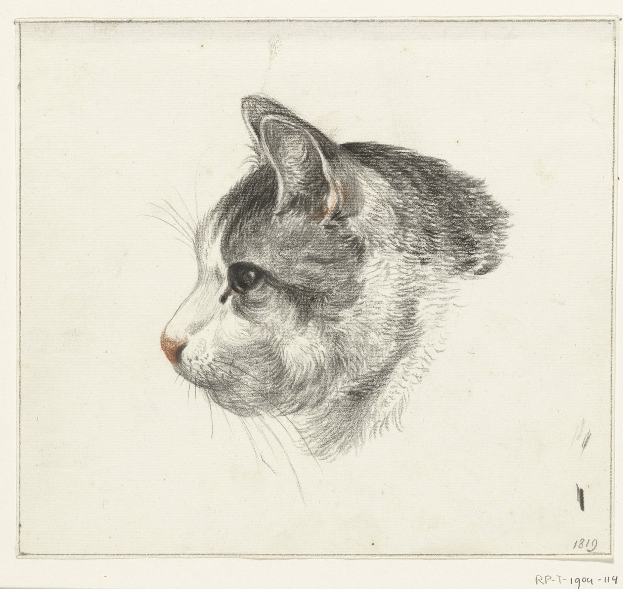 Kopf einer Katze, nach links von Jean Bernard