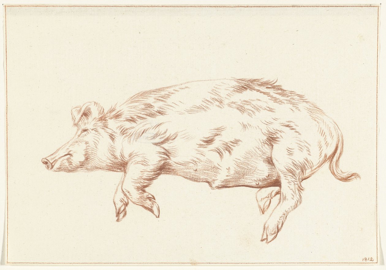 Liegendes Schwein, nach links von Jean Bernard