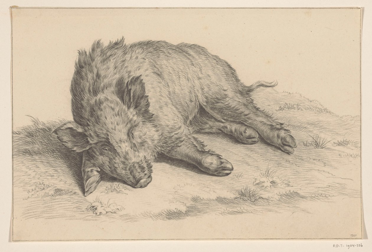 Liegendes Wildschwein von Jean Bernard