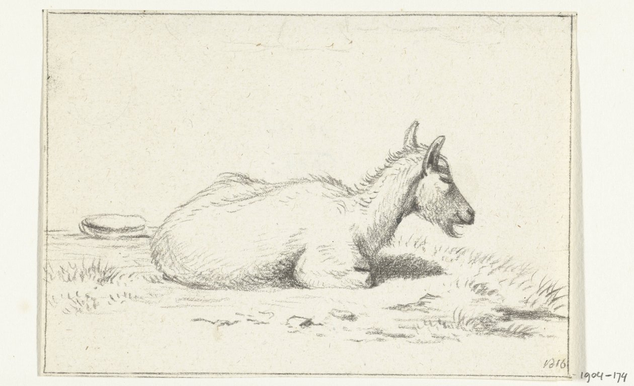 Liegende Ziege, nach rechts von Jean Bernard