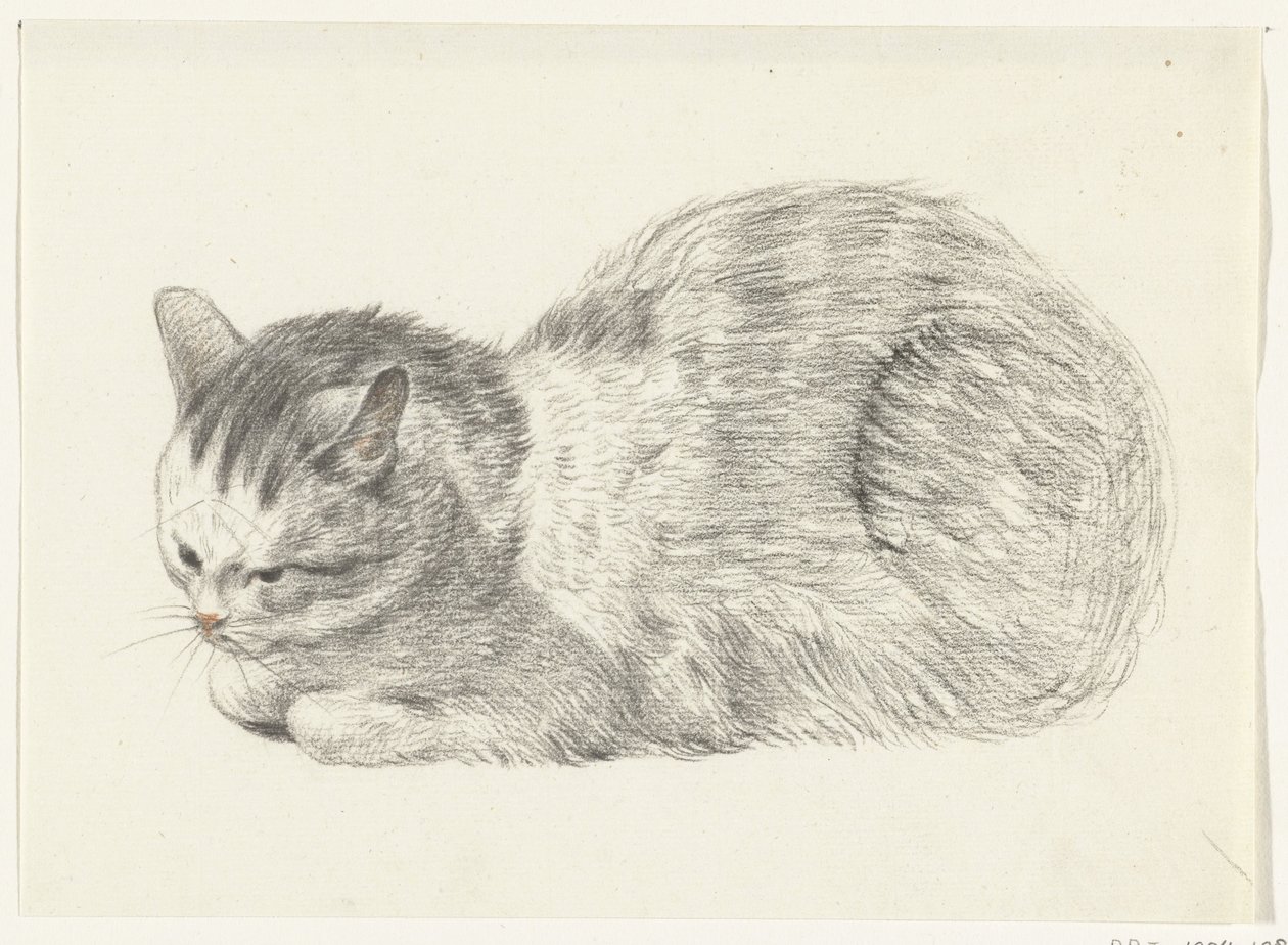 Liegende Katze, nach links von Jean Bernard
