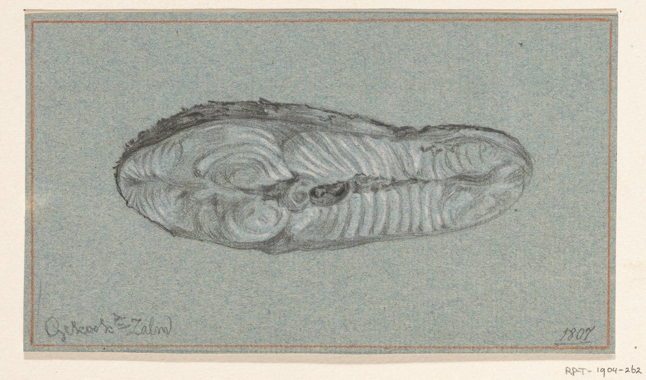 Stück gekochter Lachs von Jean Bernard