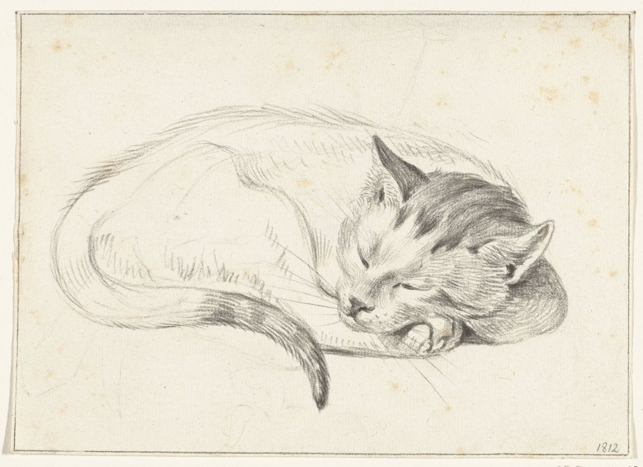 Zusammengerollte, schlafende Katze von Jean Bernard