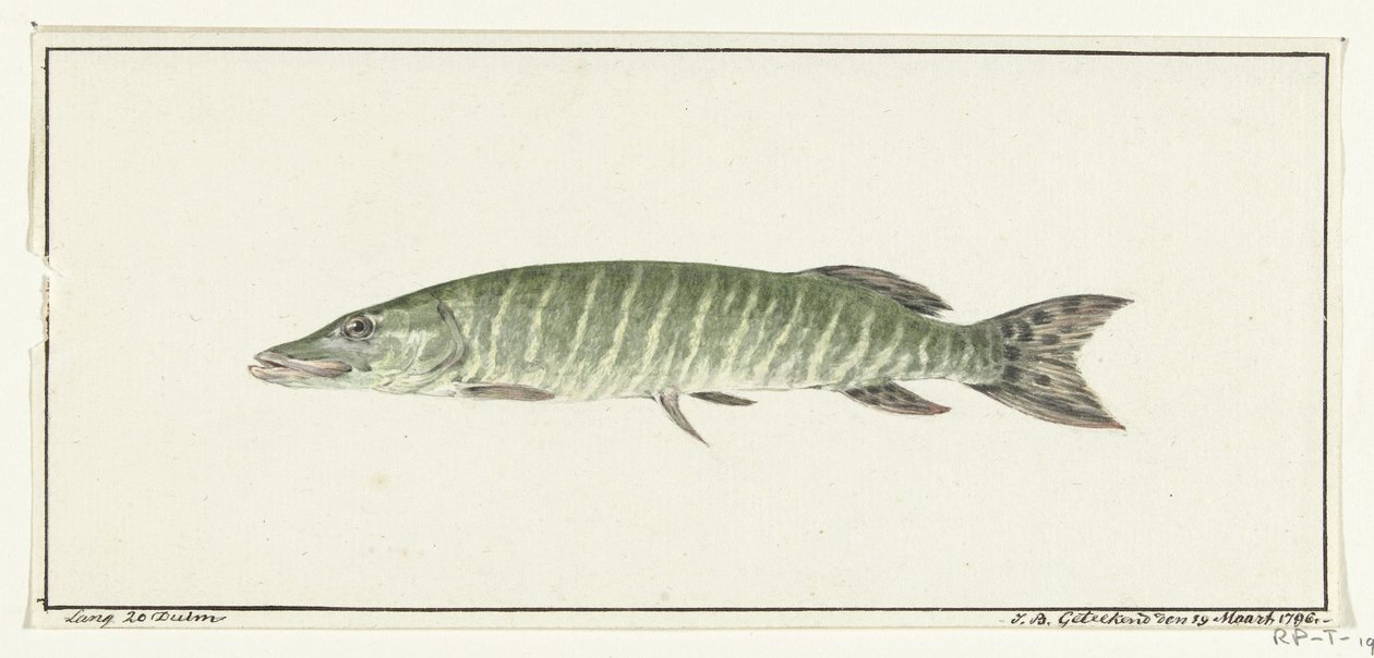 Hecht von Jean Bernard