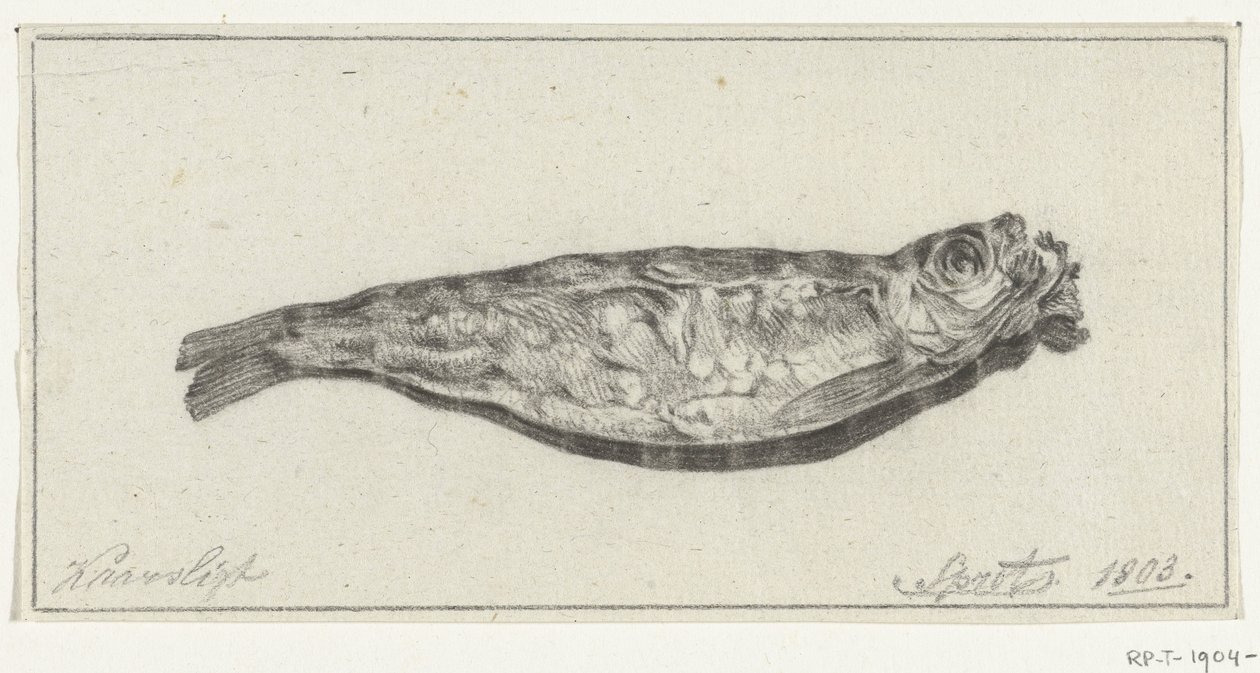 Sprotte bei Kerzenlicht von Jean Bernard