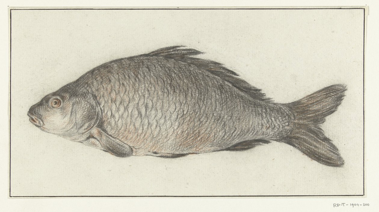 Fisch von Jean Bernard