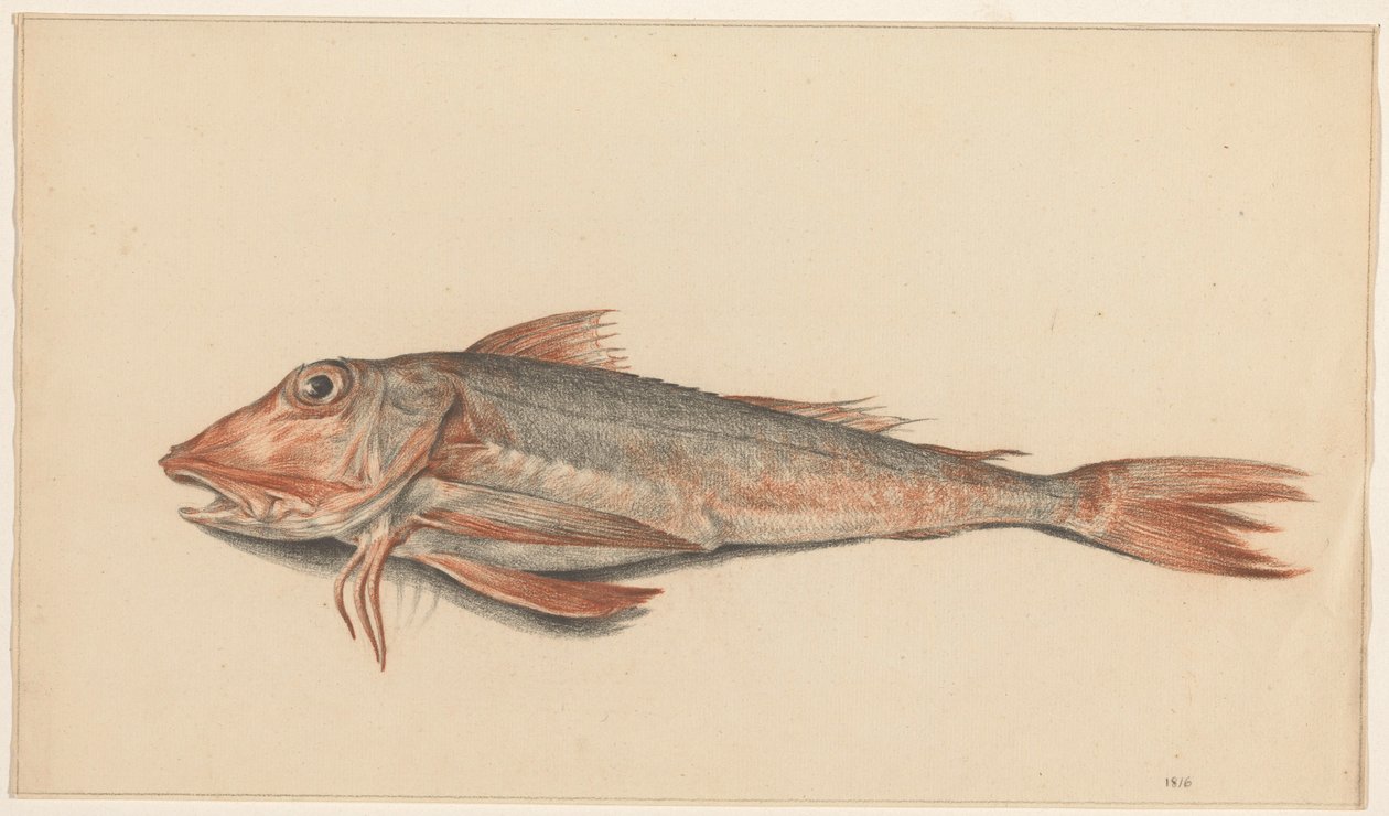 Fisch von Jean Bernard