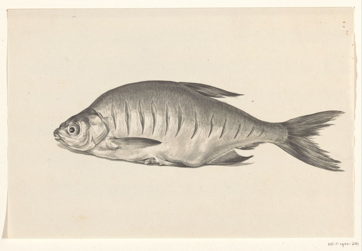 Fisch, nach links liegend, mit Einschnitten von Jean Bernard
