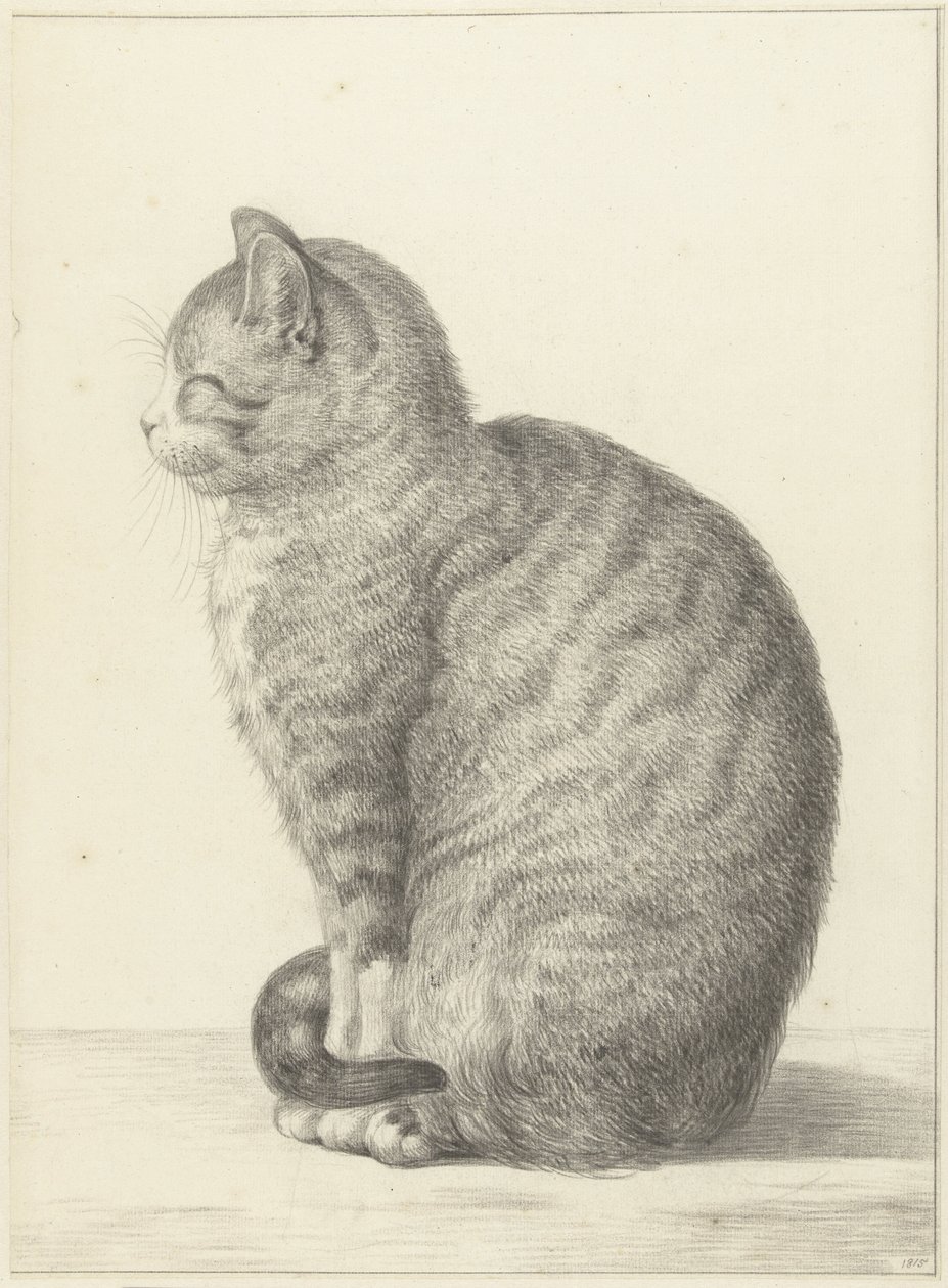 Sitzende Katze, nach links von Jean Bernard