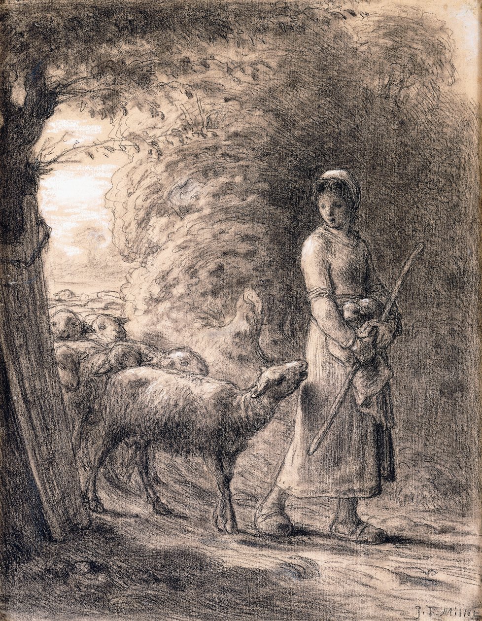 Das neugeborene Lamm, ca. 1860 von Jean Francois Millet