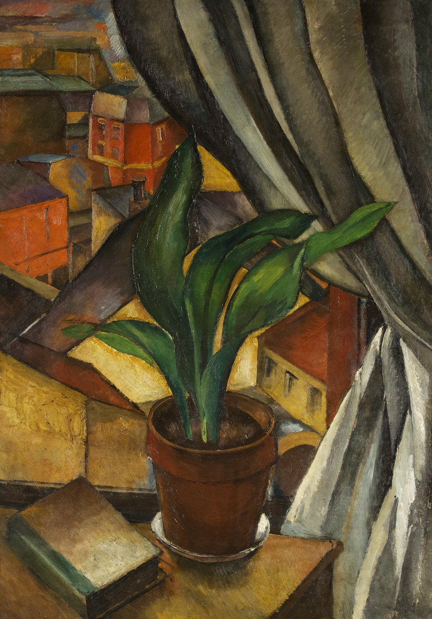 Die Aspidistra, ca. 1912 von Jean Marchand