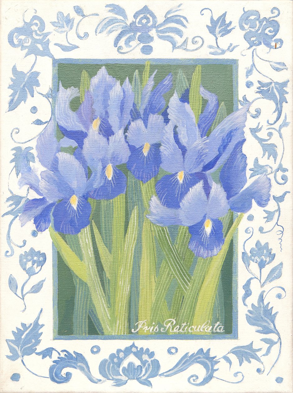 Blaue Iris von Jennifer Abbott