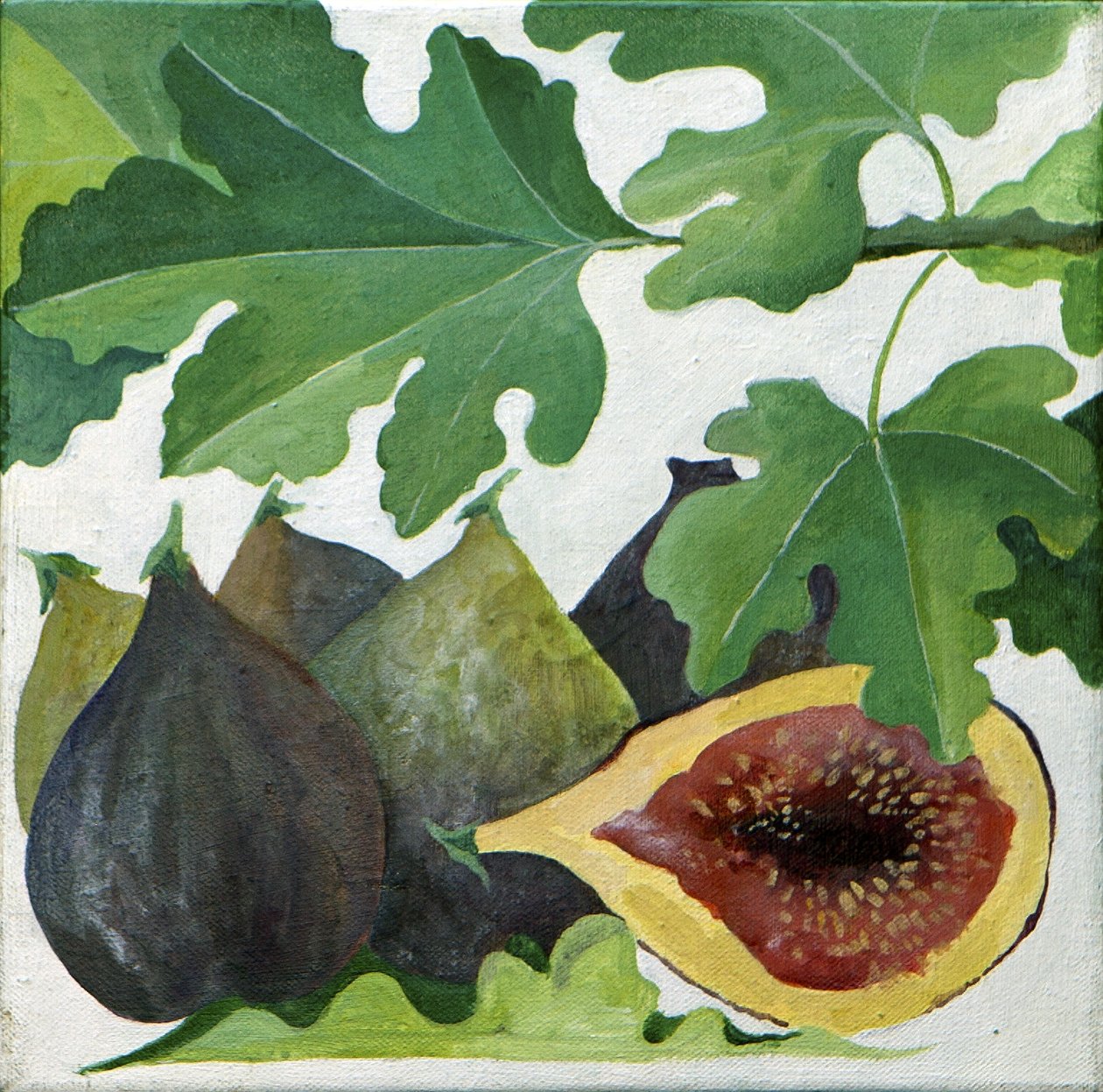 Feigen von Jennifer Abbott