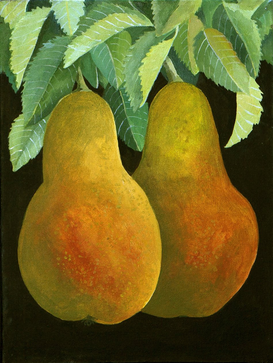 Birnen, 2014 von Jennifer Abbott