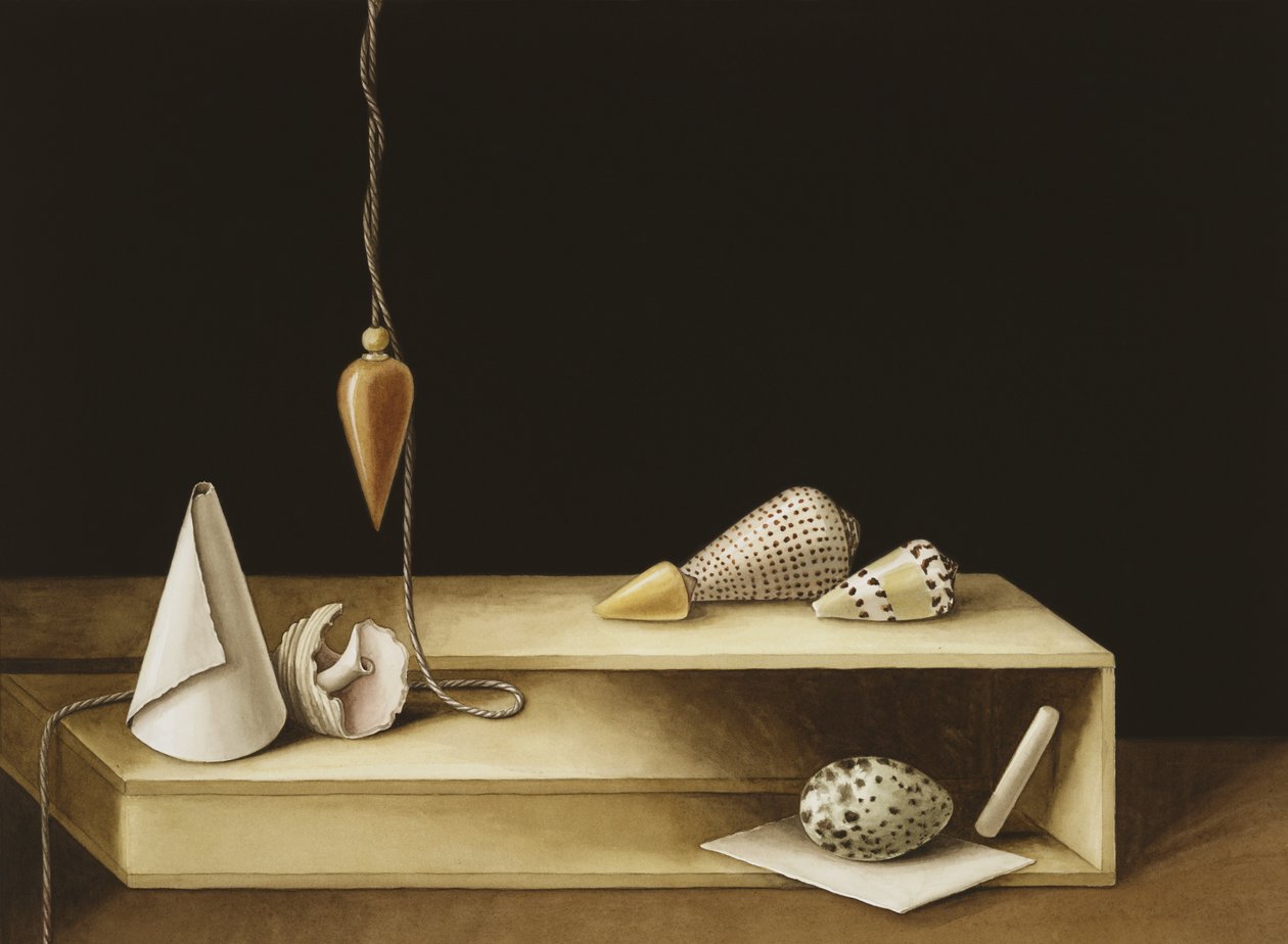 Optische Täuschung, 2005 von Jenny Barron