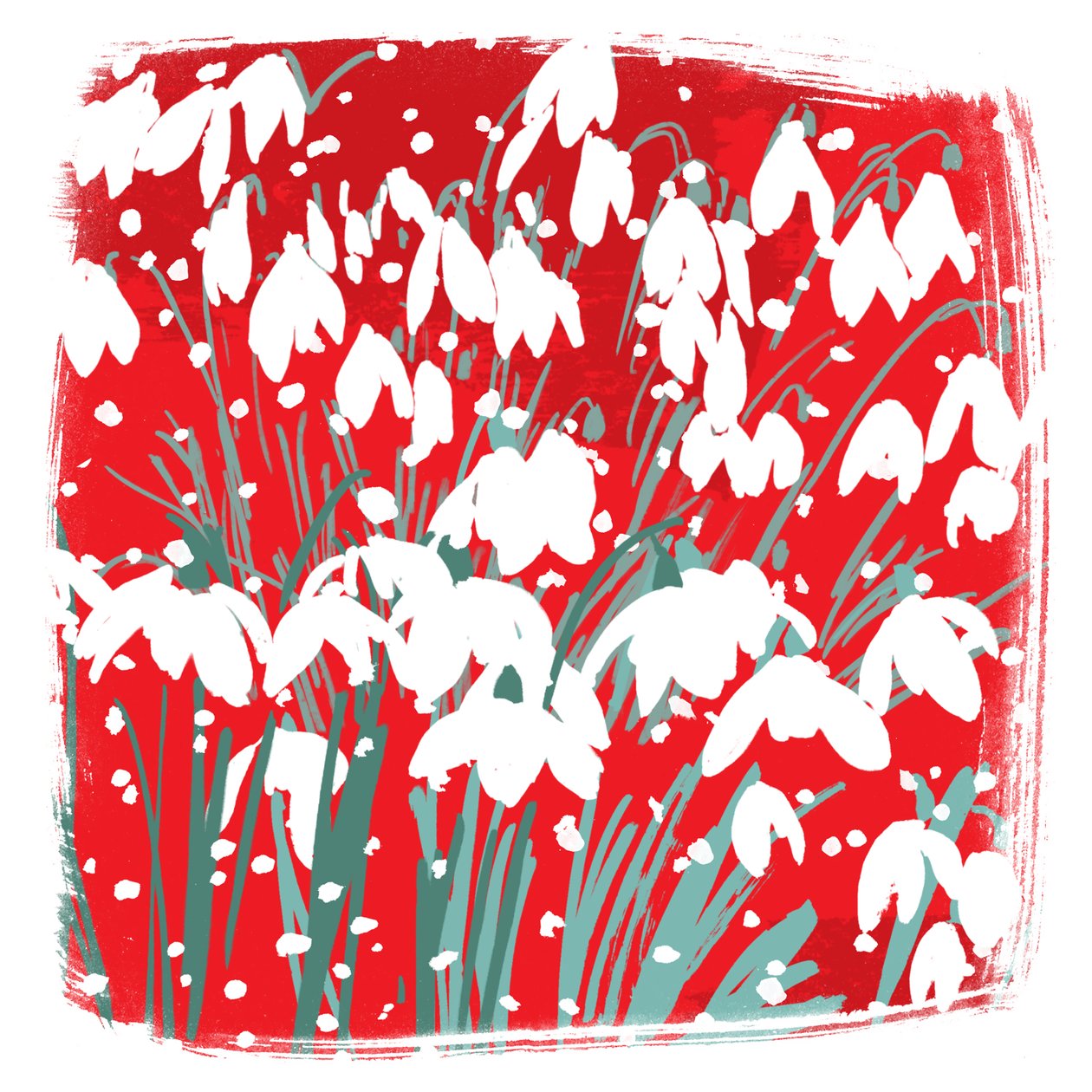 Schneeglöckchen von Jenny Frean