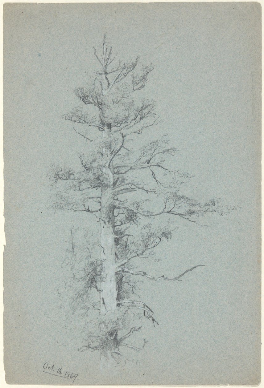 Baumstudie von Jervis McEntee