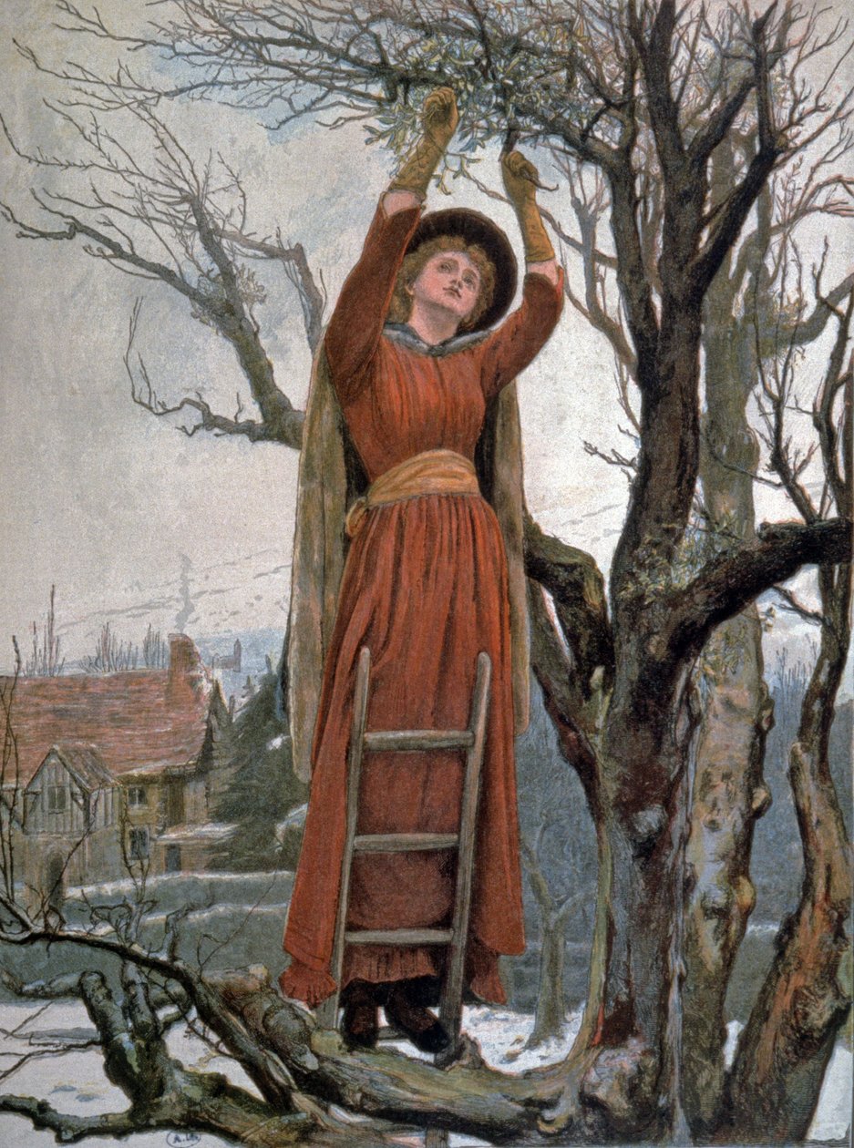 Der Tag der Weihnachtsgeschenke von Jessie MacGregor