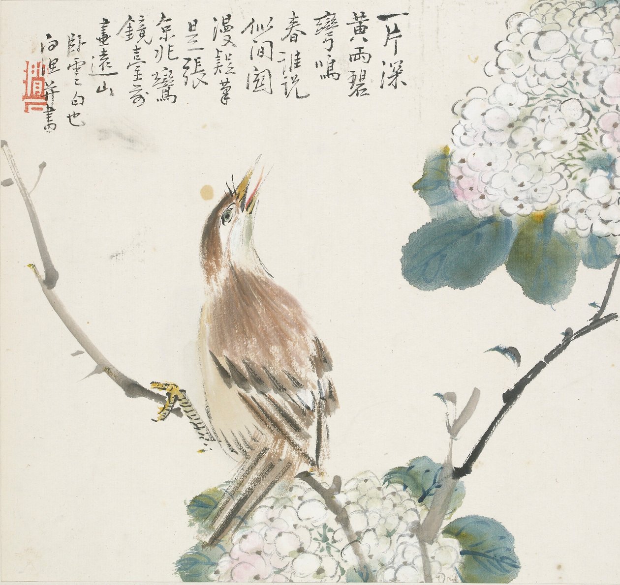 Ein chinesischer Hwamei von Jin Yuan