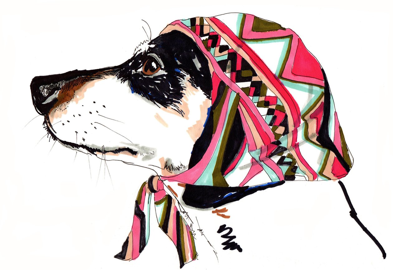 Pooch In Pucci, 2012 von Jo Chambers