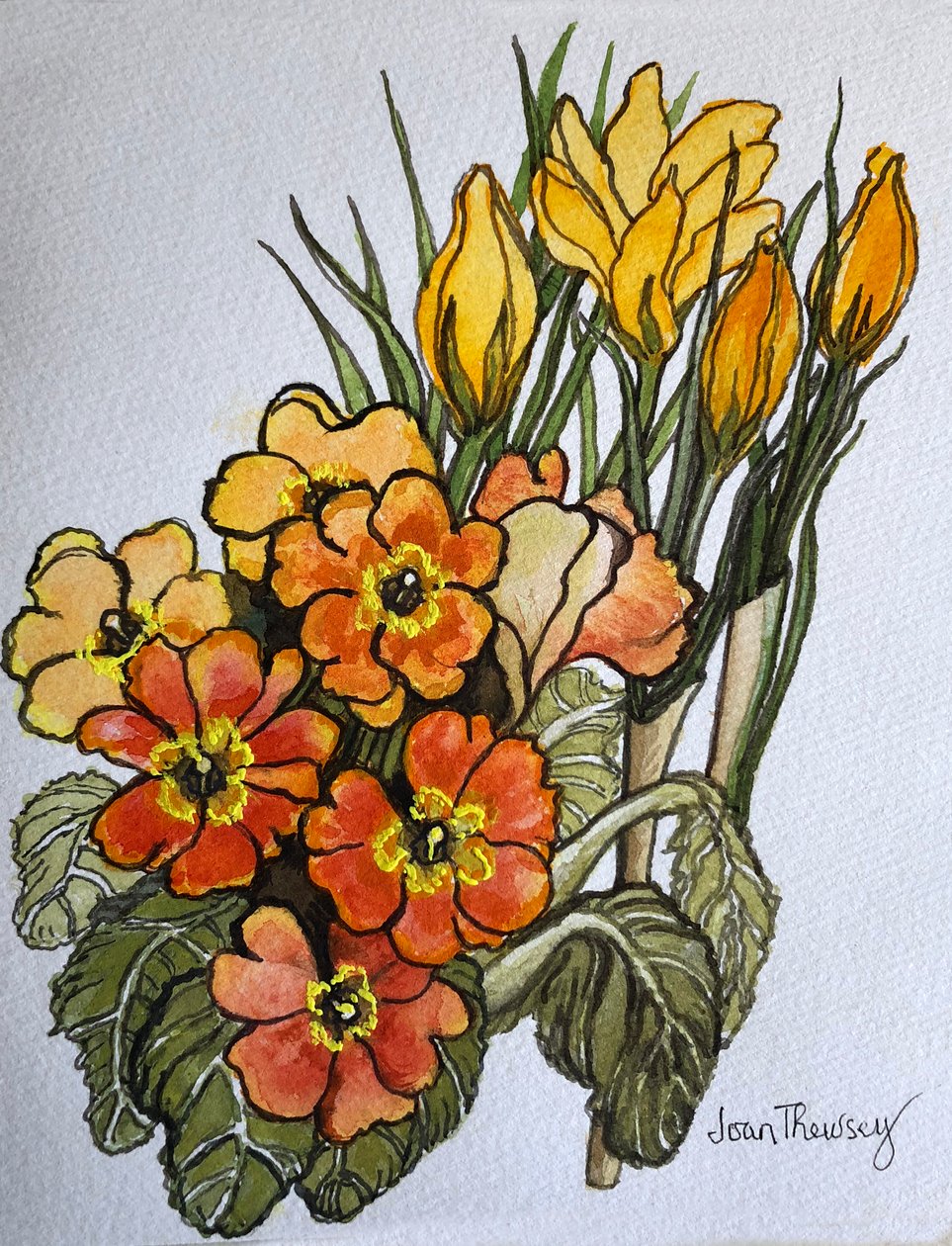 Krokus und Primeln von Joan Thewsey