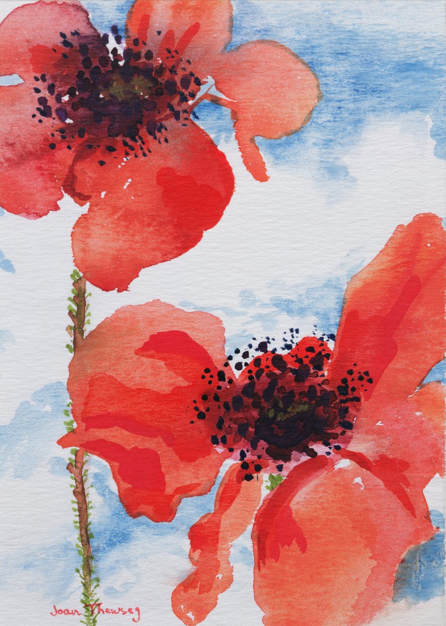 Mohnblumen von Joan Thewsey