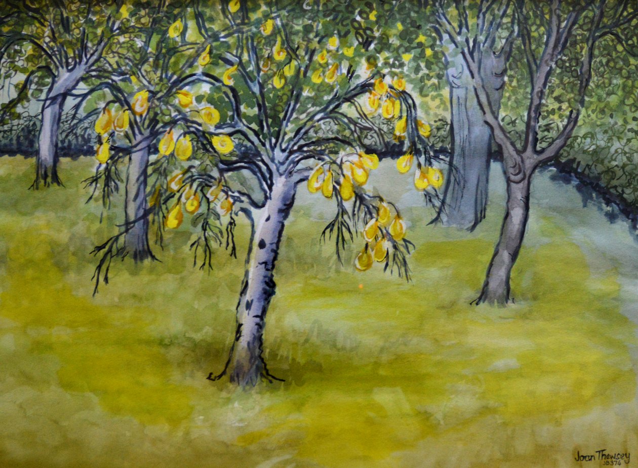 Der kleine Birnbaum, 2005 von Joan Thewsey