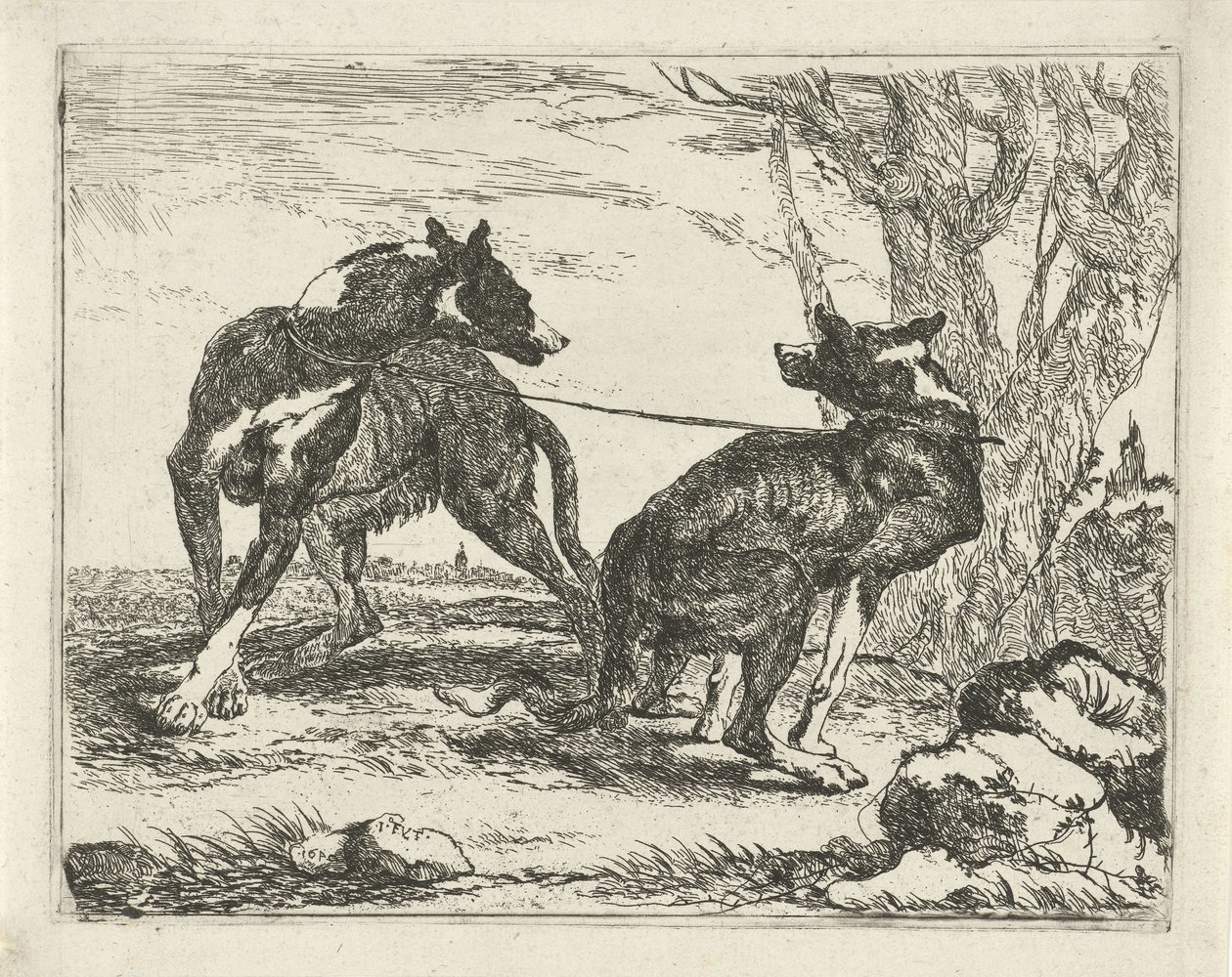 Zwei Hunde Hunde (Serientitel) von Joannes Fijt