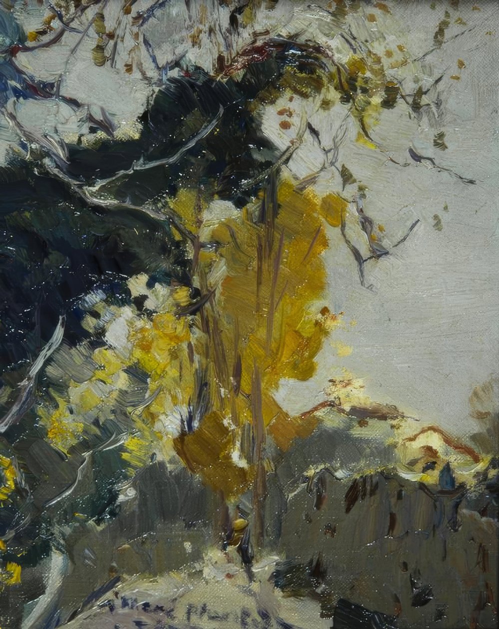 Baum von Joaquim Mir i Trinxet